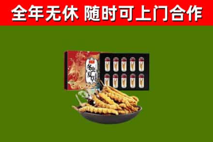 鹤山区回收冬虫夏草价格